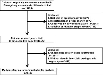 Association between maternal lipid profiles and vitamin D status in second trimester and risk of LGA or SGA: a retrospective study